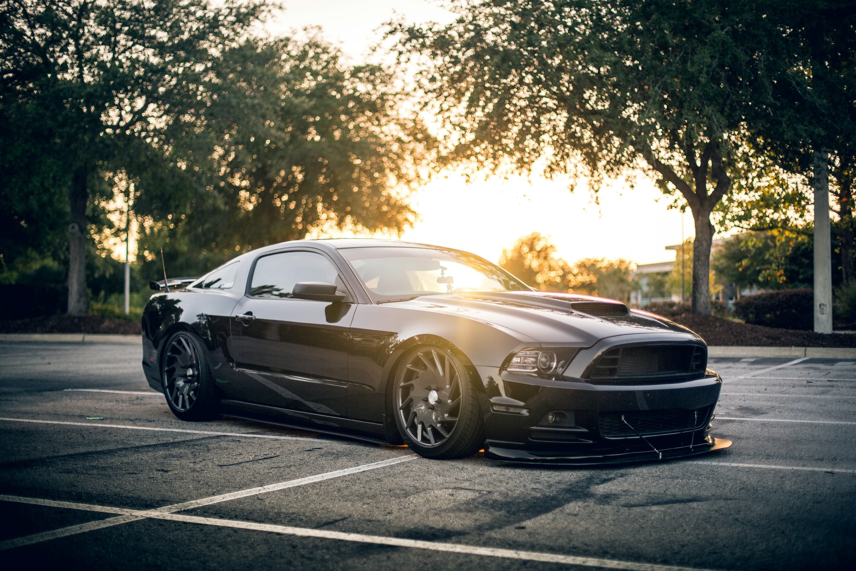 Test Drive